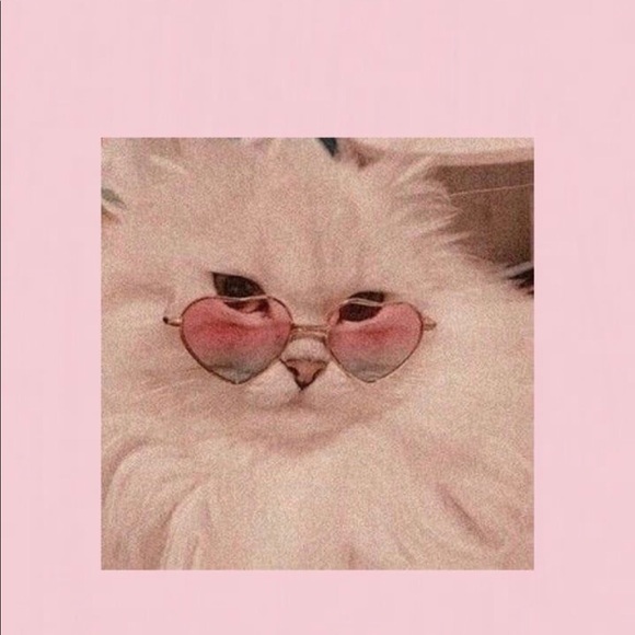 Meet your Posher, Ava - Picture 1 of 1